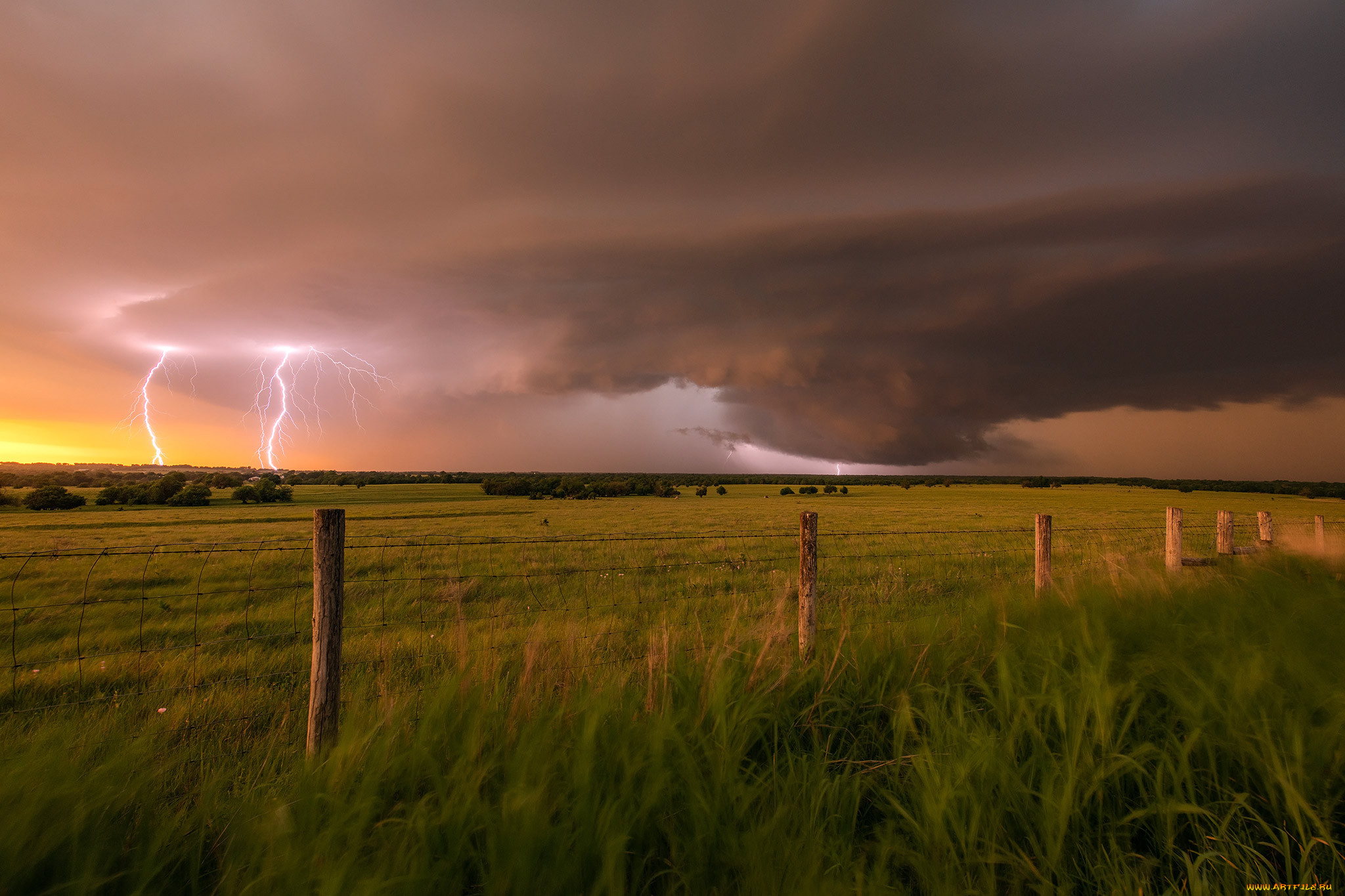 �������, ������,  �����, ������